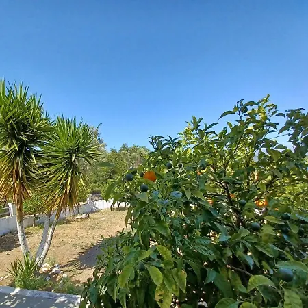 Cotton Case de vacanță *
